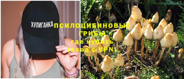 ПСИЛОЦИБИНОВЫЕ ГРИБЫ Сосновоборск